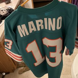 Dolphins Jersey
