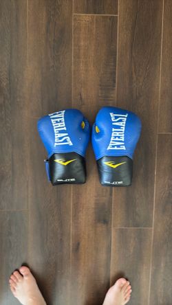 Everlast boxing gloves