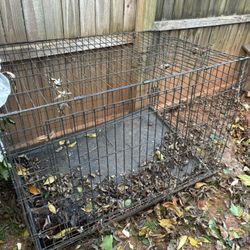  Big metal dog crate in good condition