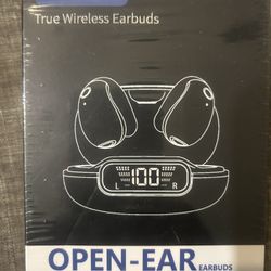 Open Ear Earbuds 