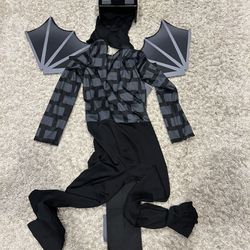 Minecraft costume