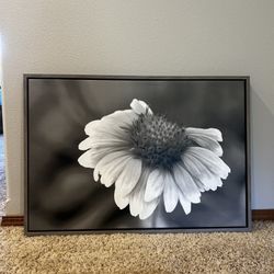 Professional Flower Photo