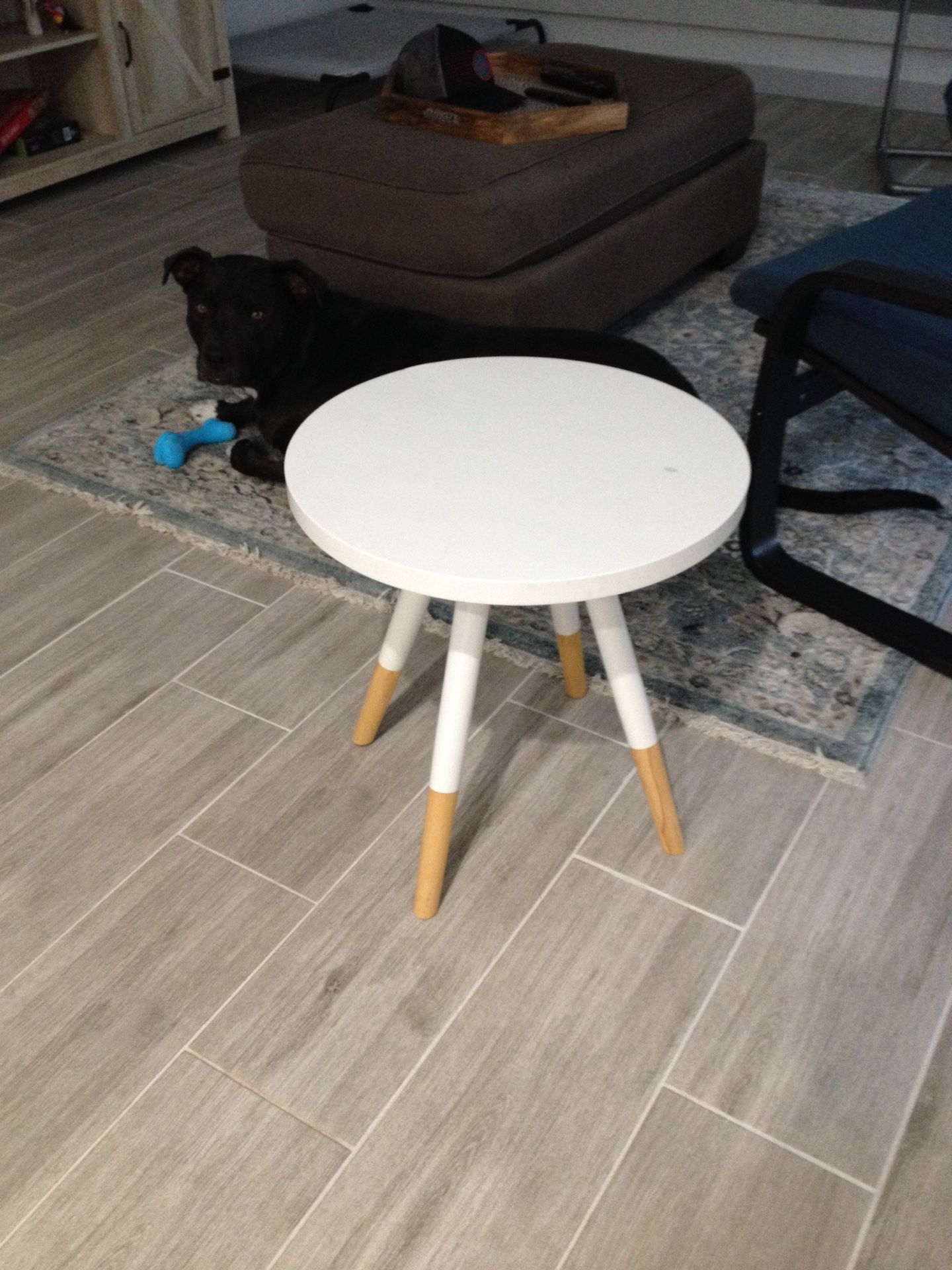 West Elm Modern Table