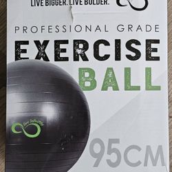 Exercise Ball  Yoga  95cm