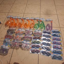 Summer Time Fun Swim And See