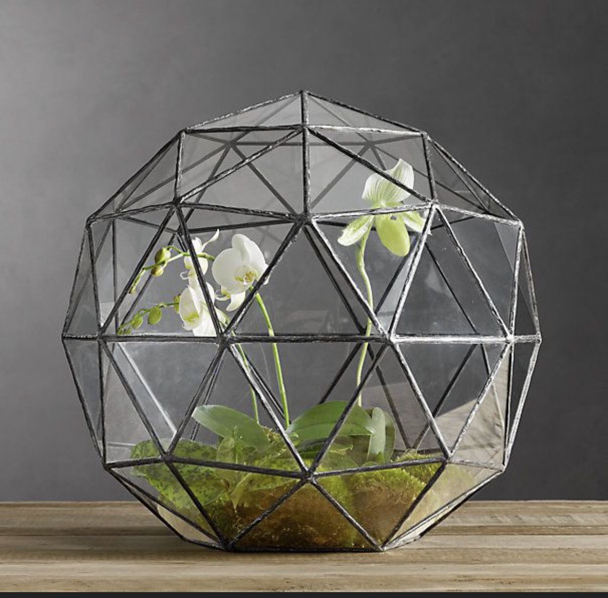 Restoration Hardware Geodesic Terrarium