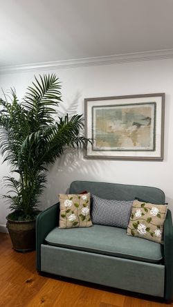 Sofa bed plant and frame