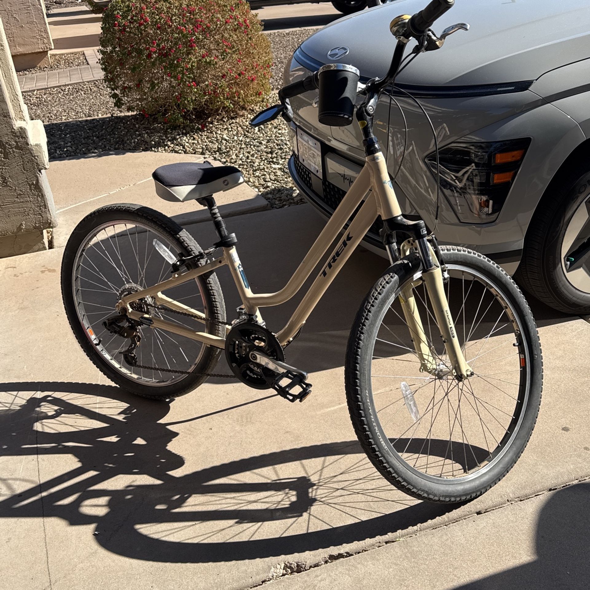 Trek Step Through Bike
