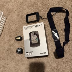 Element Roam V1