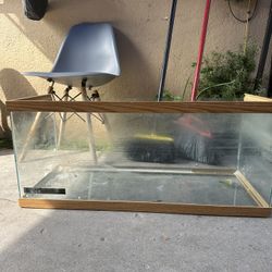 Fish Tank/hamster Tank