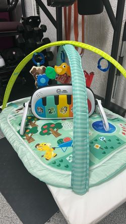Baby Einstein Gym