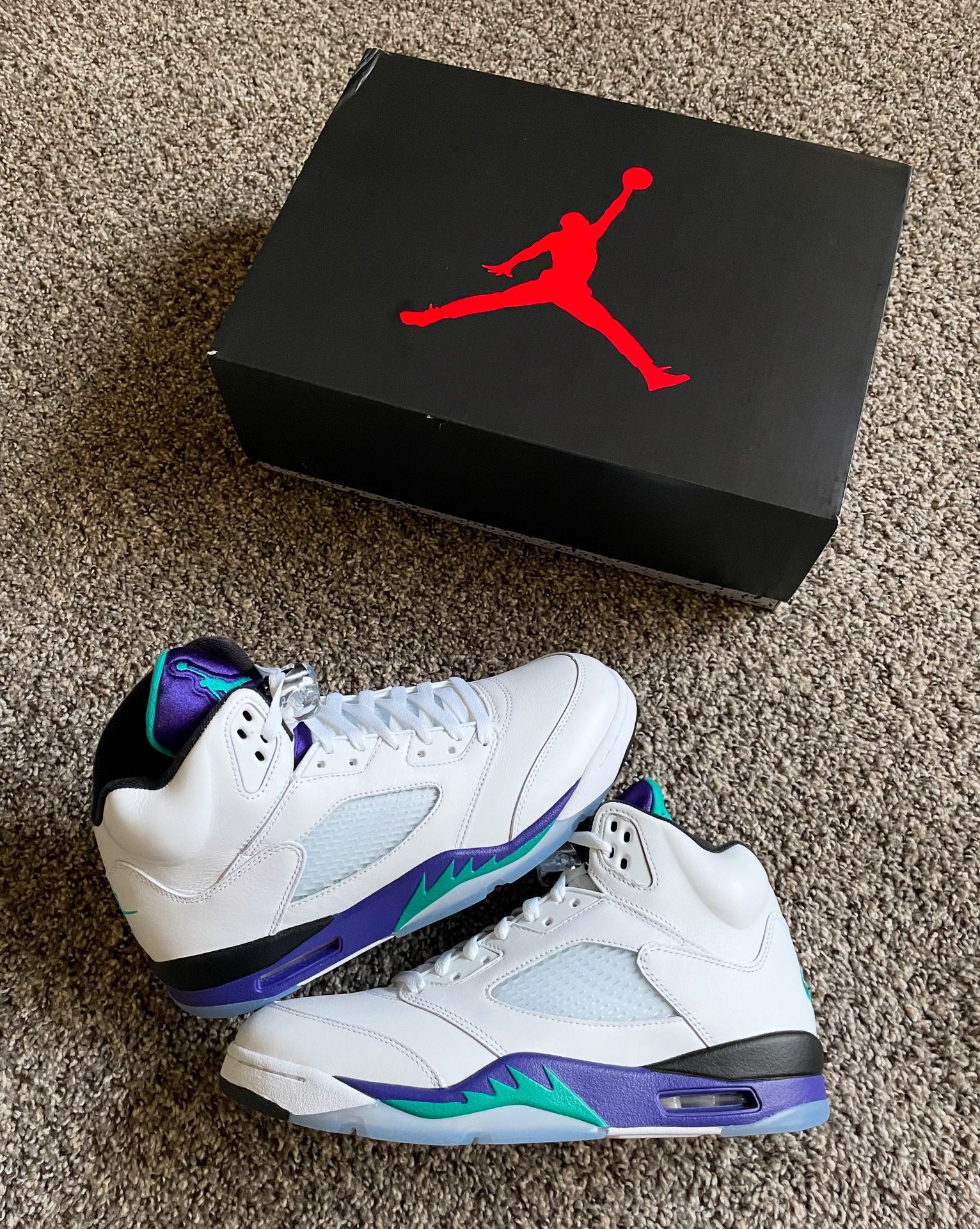 Jordan 5 Retro “Grape” (M)