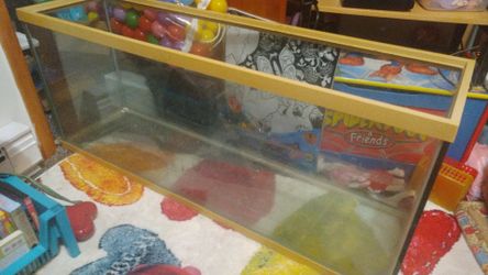 Large Long Fishtank