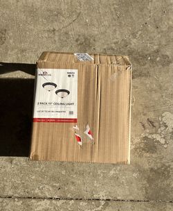 Design House 2 Pack Ceiling Light