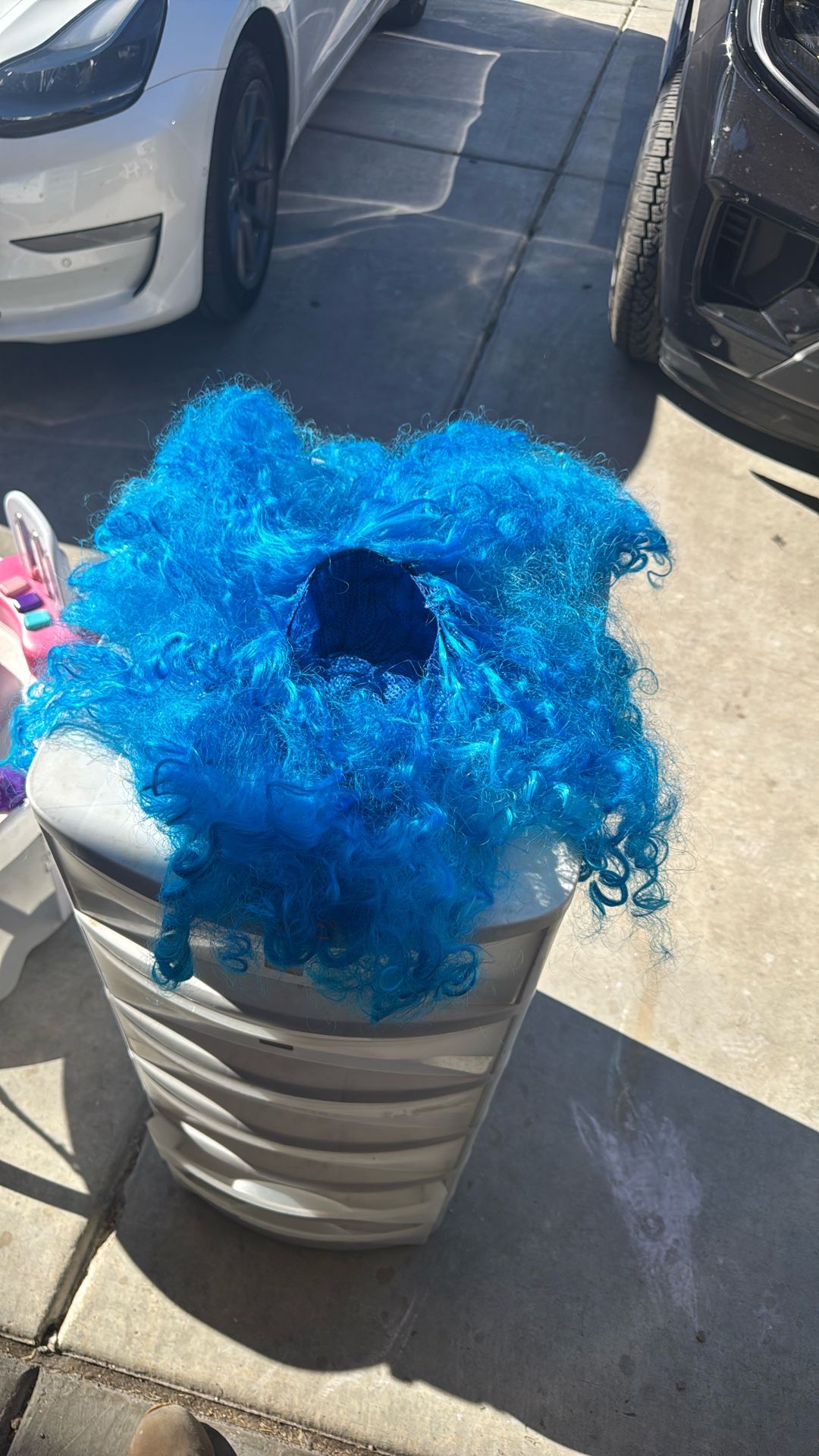 Blue Wig