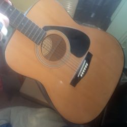 Regular New Guitar 