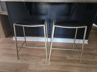 Two Bar bull