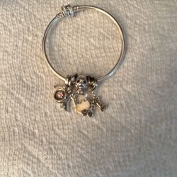 Pet Bangle Bracelet
