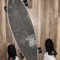 Z Flex Longboard 
