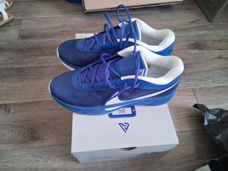 Nike Giannis Freak 6 TB basketball