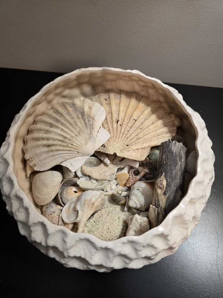 Bowl 9x9 full of Shells Pearls Beach Finds