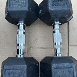 20 Pound Dumbbells 