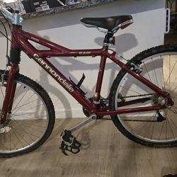 Cannondale Cad2 F500