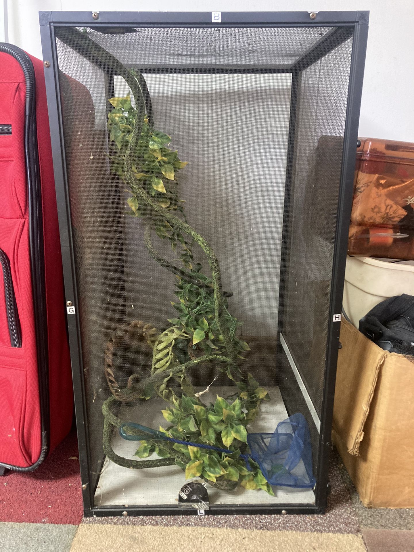 Chameleon Cage 