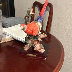 De Capoli Parrot 
