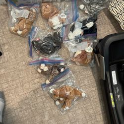 Beanie Baby Collection 