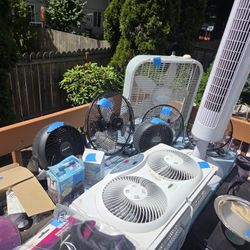 Fan(s) Assorted ($3.00)
