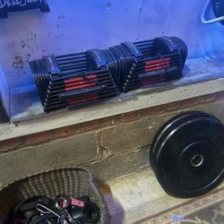 Power block Dumbells 10-50 Lb 5 Lb Increments 