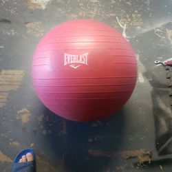 Workout Ball