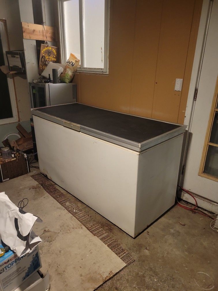 Large Chest Freezer