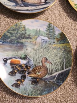 10 beautiful duck plates collector Mint condition