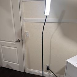 LED Adjustable Light