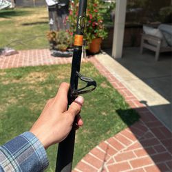 Penn Rods Of Champions 6-6'6 Ft Fishing Rod for Sale in Riverside