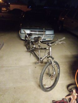 Double rider twin schwinn