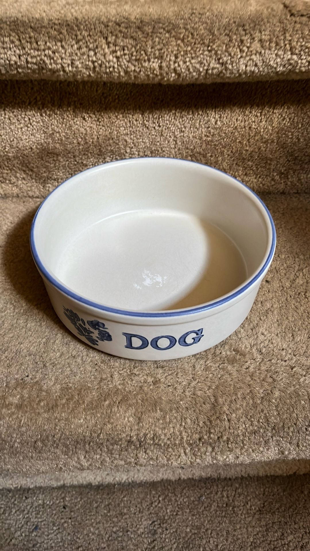 Dog Bowl