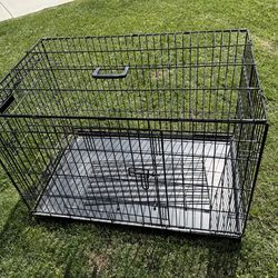 Dog Kennel