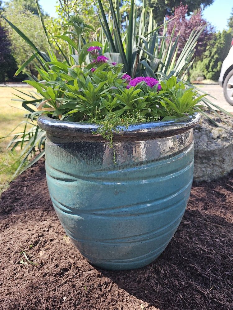 Flower Pot