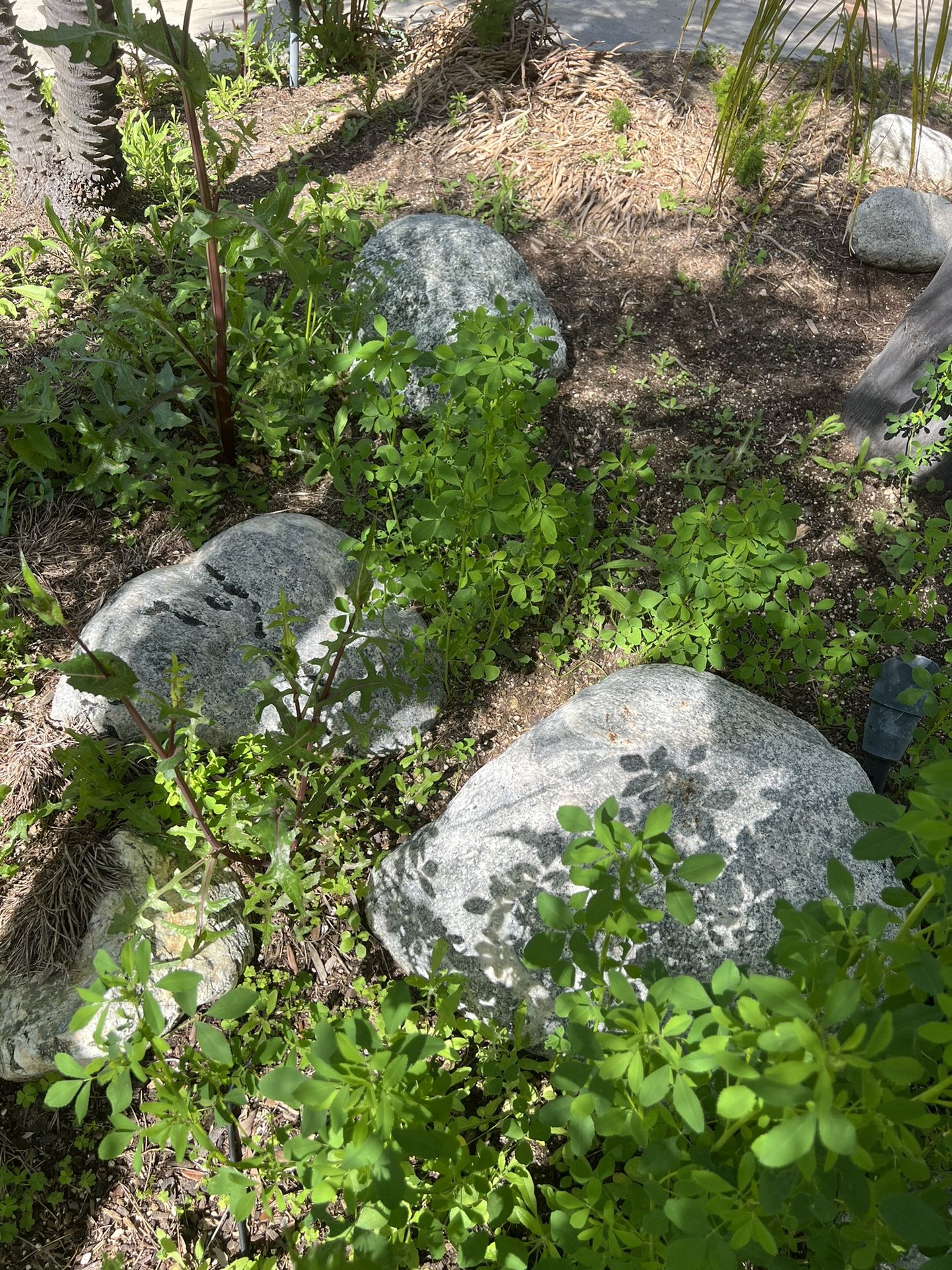 Large Decorative Yard Rocks
