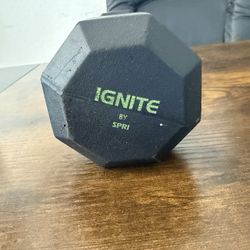 10 Pound Dumbbell Only 1