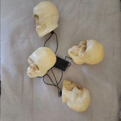 Decorative Skull String Lights Set of 4