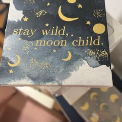 🌙 Wall Art – “Stay Wild, Moon Child” Canvas