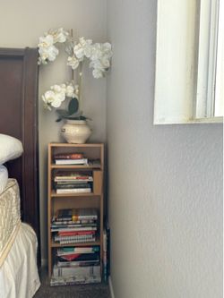 Free bookshelf and plant
