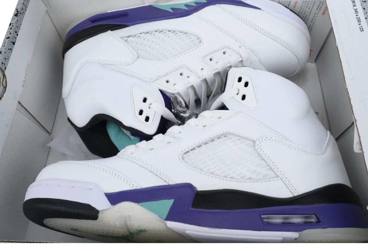 Mens nike Air Jordan Retro V Grape 2025 Sz 10.5 Ds New $200