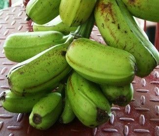 Platano hawaiano/ Hua moa banana