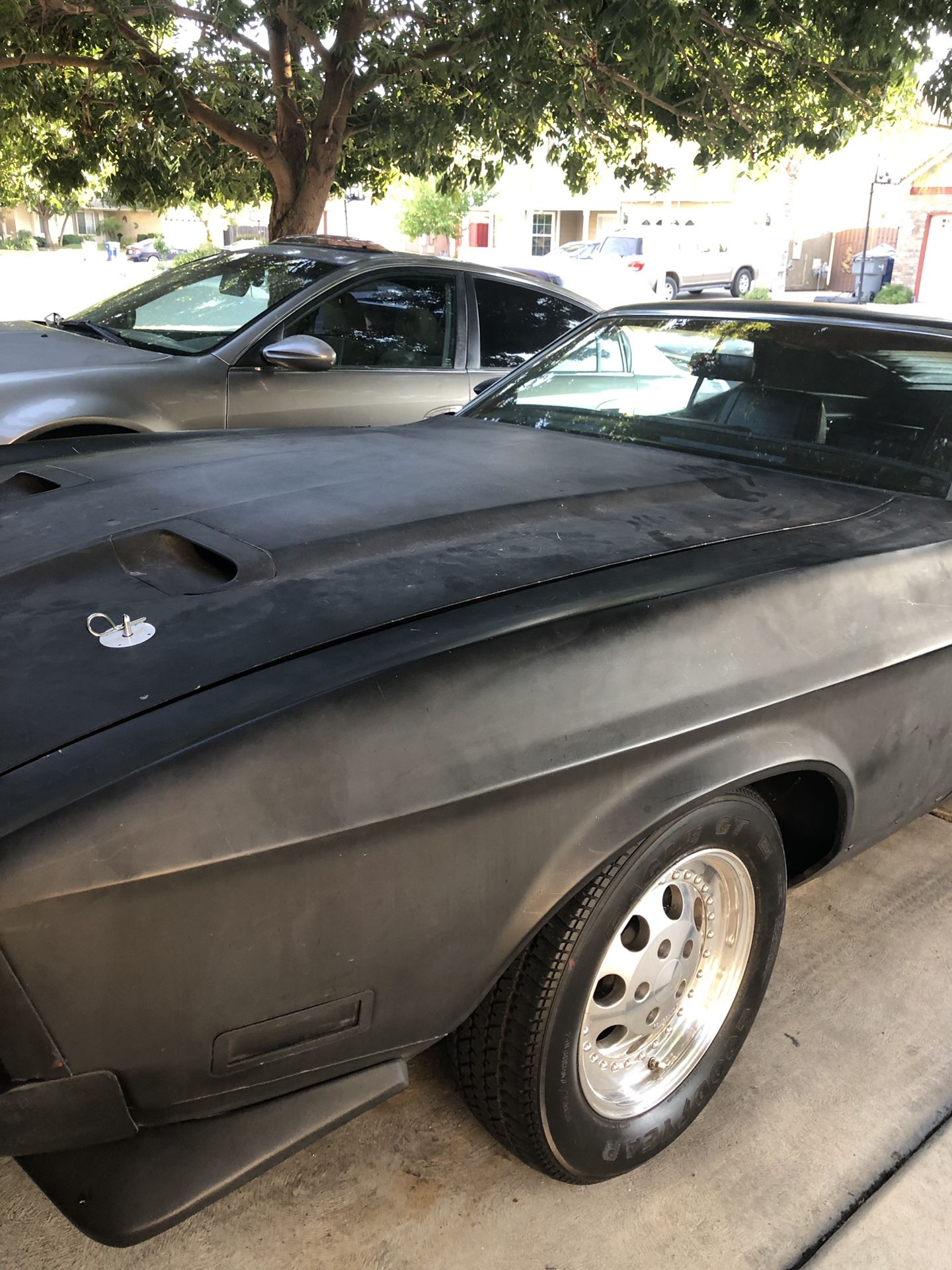 Mustang hood Mach 1 1973 should fit 72,71