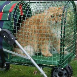Kitty Walk Pet Stroller by "Kittywalk" Green Mesh Detachable Carrier Rare 